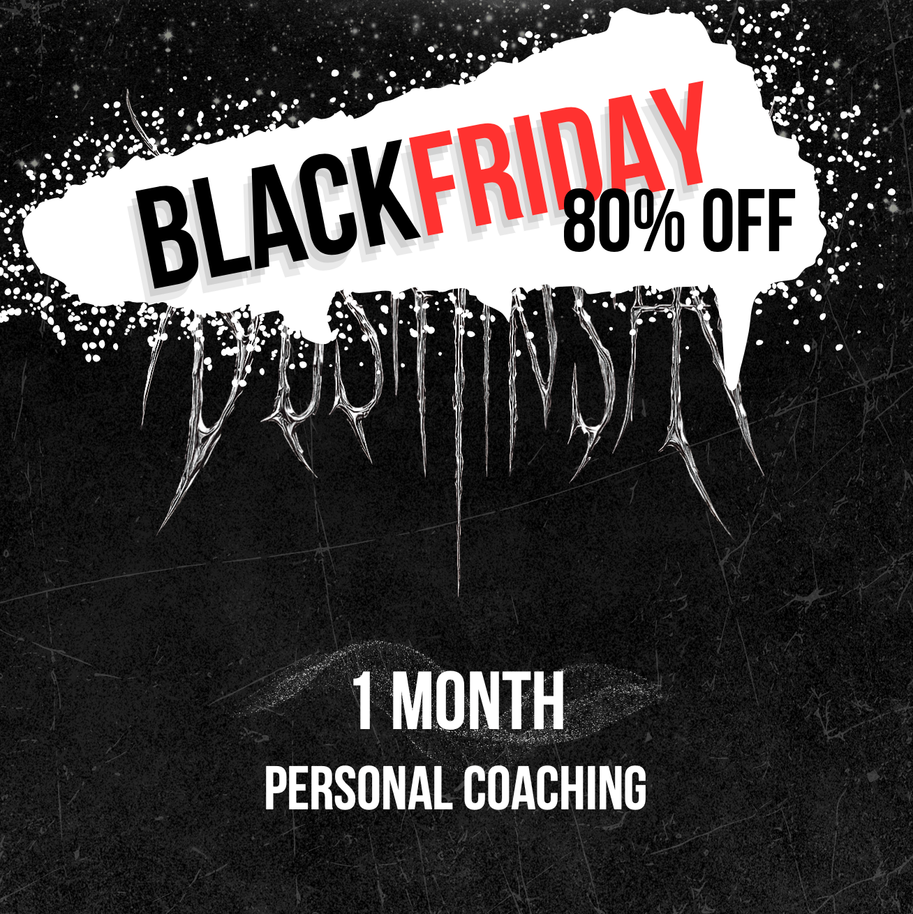 BLACK FRIDAY SPECIAL: 1 Month Personal Coaching - individual Support